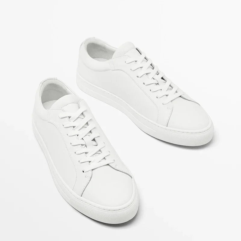 Axis Low Sneakers by Tom Claren